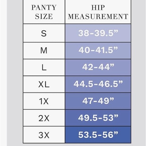 Ellen Tracy Hi Cut Leg panties women’s plus size 2X 10 Nude NWOT - Picture 4 of 4